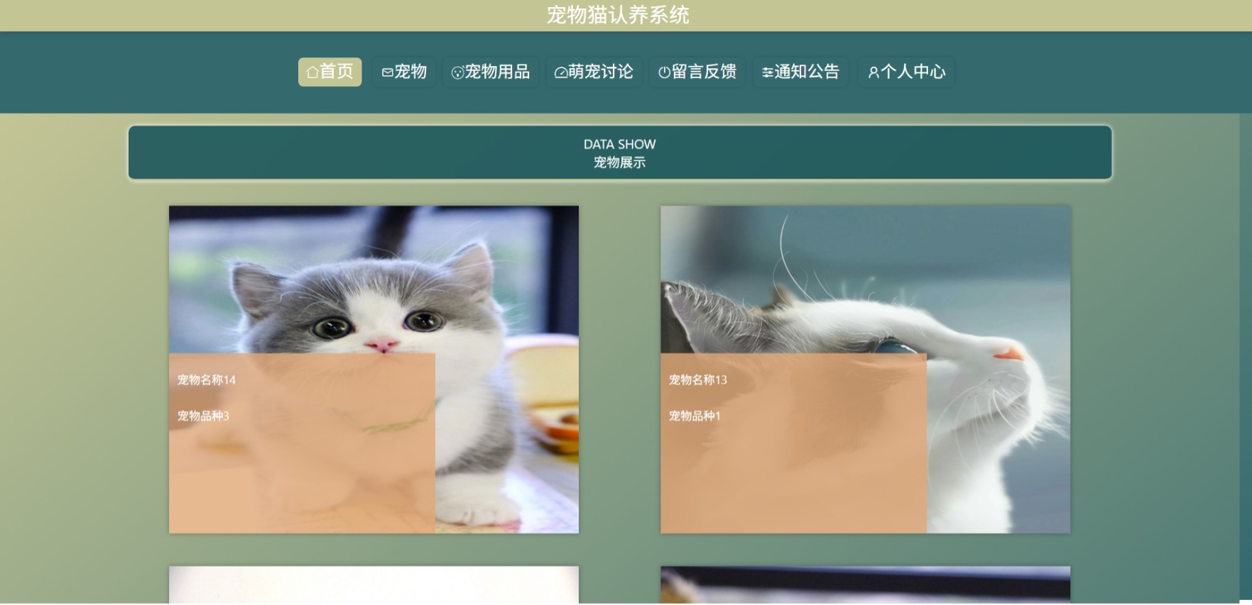 Java管理系统 (14).jpeg