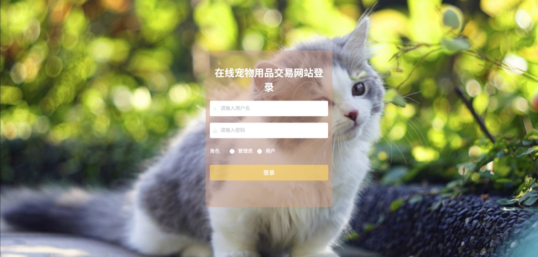 Java管理系统 (1).jpeg