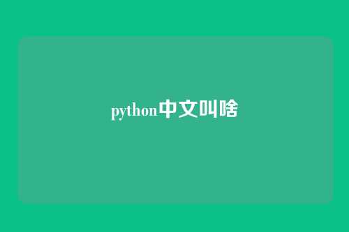 python中文叫啥