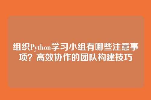 组织Python学习小组有哪些注意事项?高效协作的团队构建技巧