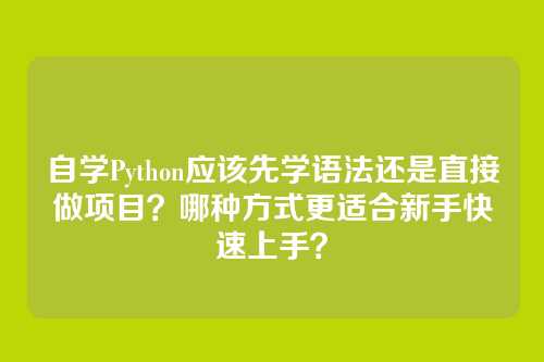 自学Python应该先学语法还是直接做项目？哪种方式更适合新手快速上手？