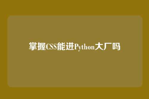 掌握CSS能进Python大厂吗
