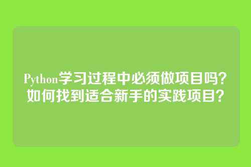 Python学习过程中必须做项目吗？如何找到适合新手的实践项目？