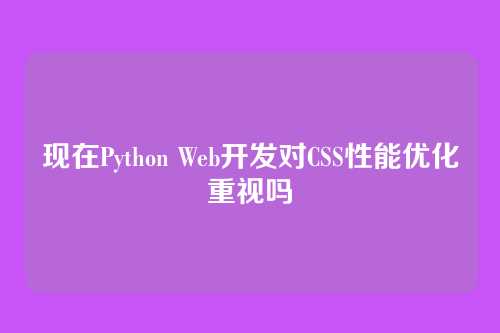 现在Python Web开发对CSS性能优化重视吗