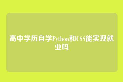 高中学历自学Python和CSS能实现就业吗