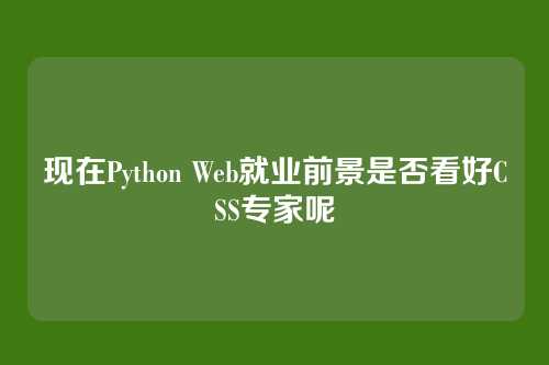 现在Python Web就业前景是否看好CSS专家呢