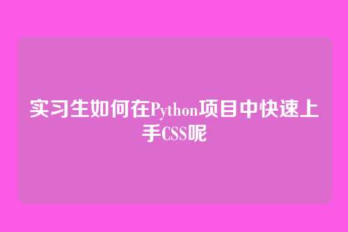 实习生如何在Python项目中快速上手CSS呢