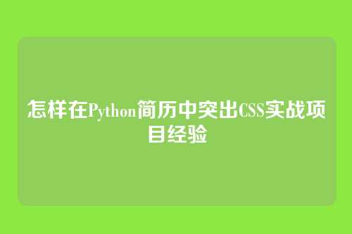 怎样在Python简历中突出CSS实战项目经验