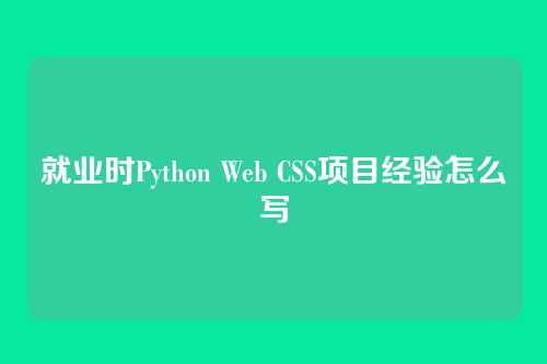 就业时Python Web CSS项目经验怎么写
