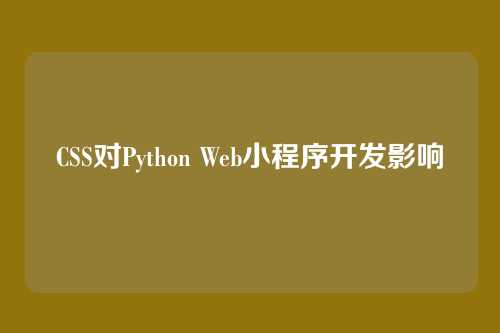 CSS对Python Web小程序开发影响