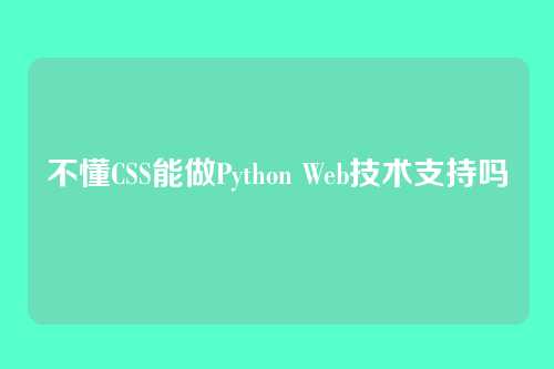不懂CSS能做Python Web技术支持吗