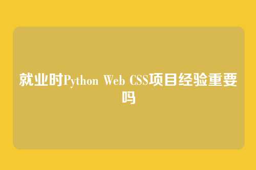 就业时Python Web CSS项目经验重要吗