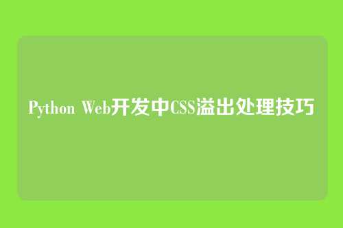 Python Web开发中CSS溢出处理技巧