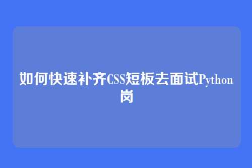 如何快速补齐CSS短板去面试Python岗