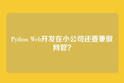 Python Web开发在小公司还要兼做网管？