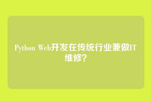 Python Web开发在传统行业兼做IT维修？