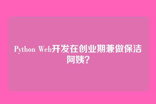 Python Web开发在创业期兼做保洁阿姨?