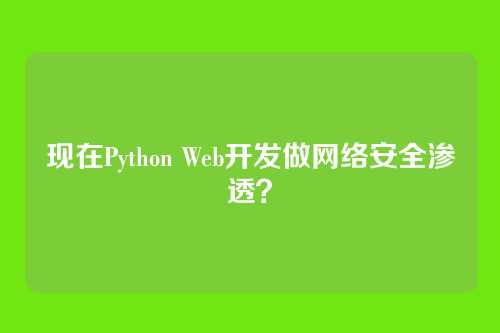 现在Python Web开发做网络安全渗透？