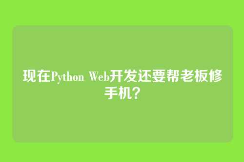 现在Python Web开发还要帮老板修手机？