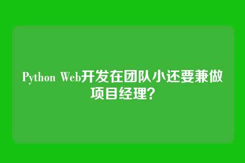 Python Web开发在团队小还要兼做项目经理？