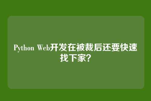 Python Web开发在被裁后还要快速找下家？