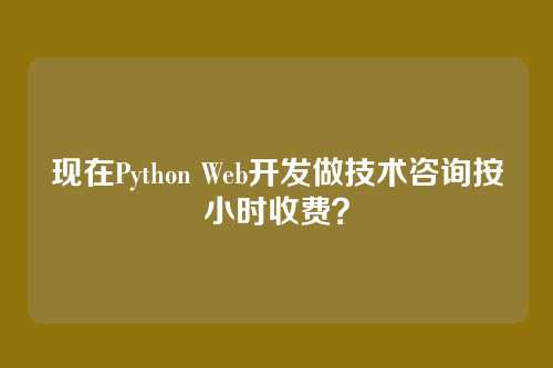 现在Python Web开发做技术咨询按小时收费？