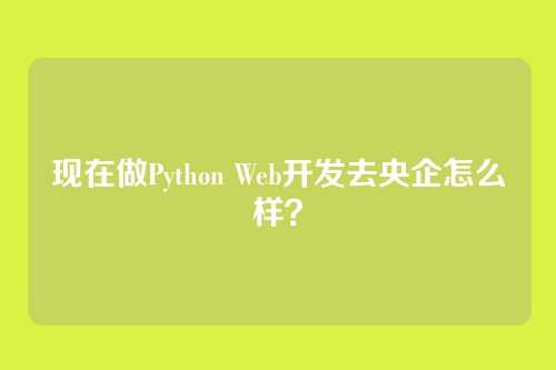 现在做Python Web开发去央企怎么样？
