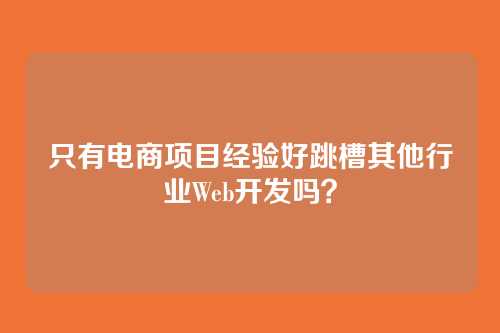 只有电商项目经验好跳槽其他行业Web开发吗？