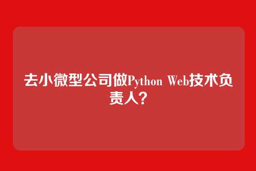 去小微型公司做Python Web技术负责人？