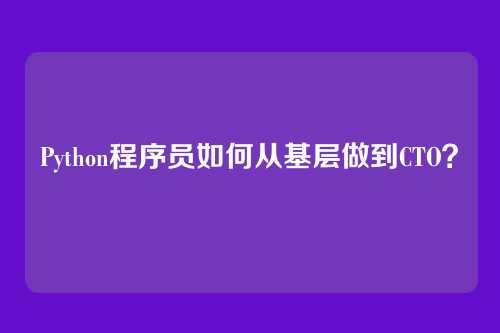 Python程序员如何从基层做到CTO？