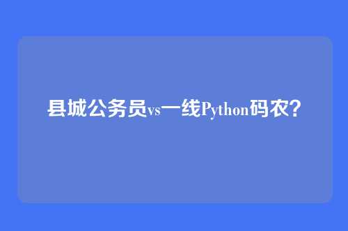 县城公务员vs一线Python码农？