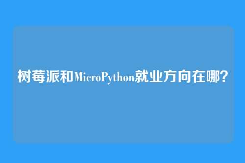 树莓派和MicroPython就业方向在哪？