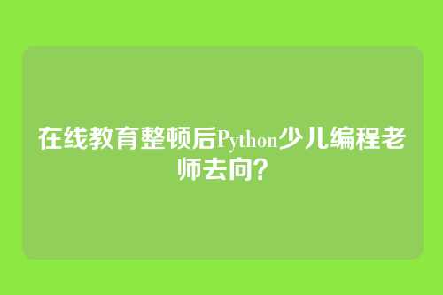 在线教育整顿后Python少儿编程老师去向？