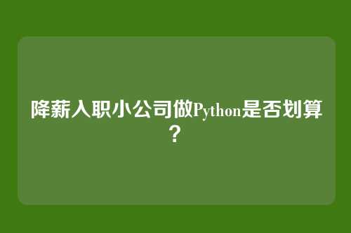 降薪入职小公司做Python是否划算？