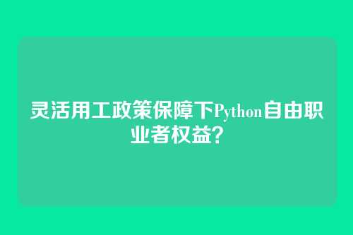 灵活用工政策保障下Python自由职业者权益？