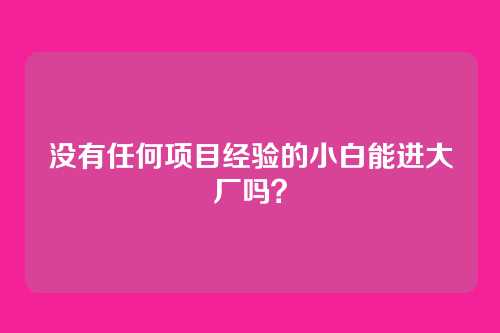 没有任何项目经验的小白能进大厂吗？