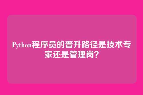 Python程序员的晋升路径是技术专家还是管理岗？