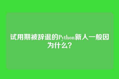 试用期被辞退的Python新人一般因为什么？