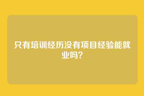 只有培训经历没有项目经验能就业吗？