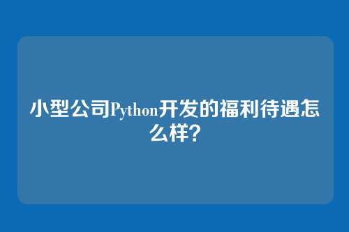 小型公司Python开发的福利待遇怎么样？