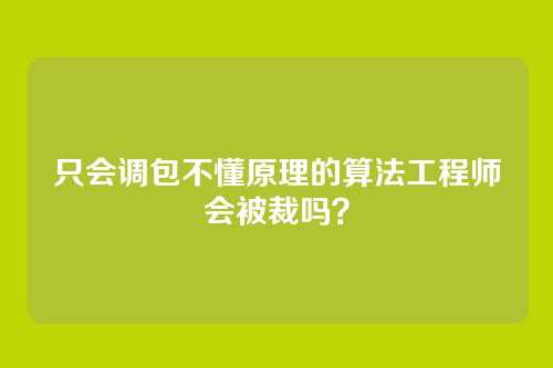 只会调包不懂原理的算法工程师会被裁吗？