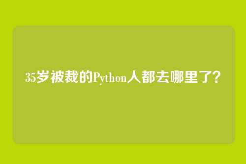 35岁被裁的Python人都去哪里了？