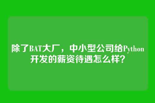 除了BAT大厂,中小型公司给Python开发的薪资待遇怎么样?