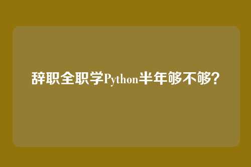 辞职全职学Python半年够不够？