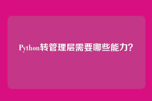 Python转管理层需要哪些能力?