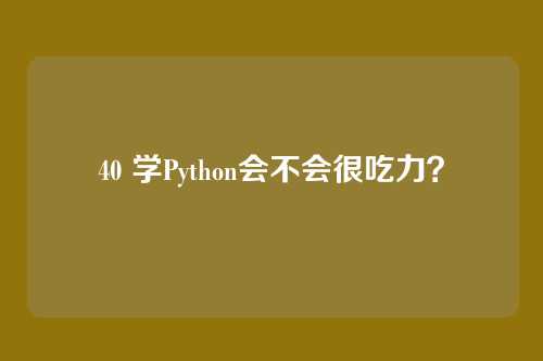 40 学Python会不会很吃力?