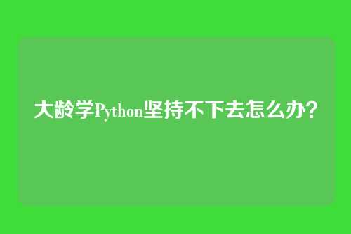 大龄学Python坚持不下去怎么办？