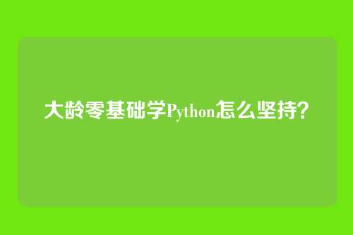 大龄零基础学Python怎么坚持？