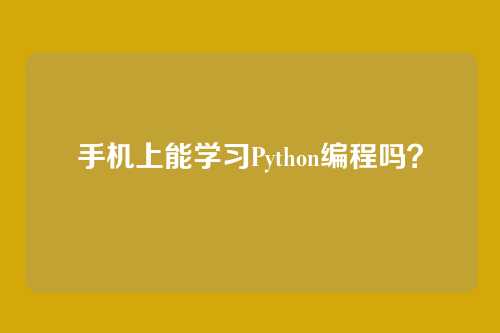 手机上能学习Python编程吗？
