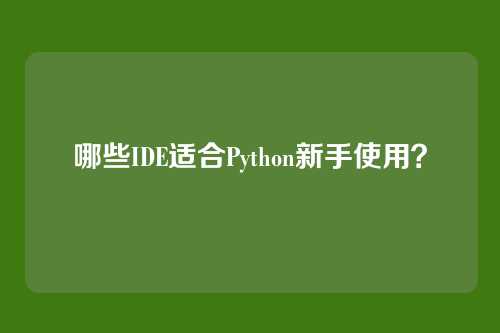 哪些IDE适合Python新手使用?